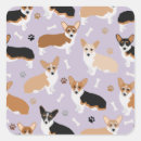 Search for corgi stickers Pembroke welsh corgi