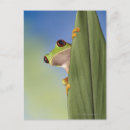 Search for scale leaf postcards Reptiles