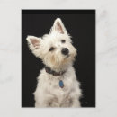 Search for collars postcards Nature
