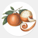 Search for chinese fruit stickers Mandarin
