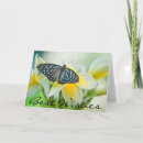 Search for danita delimont cards Jaynes gallery