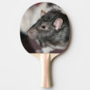 Recherche de rat raquettes ping pong Rongeur