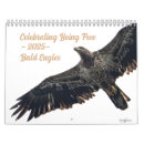 Search for bald eagle calendars Raptor
