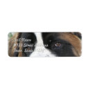 Search for saints return address labels Dogs