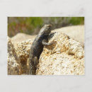 Recherche de épineux cartes postales Lézard