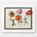 Search for chrysanthemum flowers mousepads Botanical