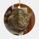 Search for brown tabby cat ornaments Pet