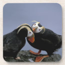 Recherche de habitat dessous de verres Nature