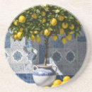 Search for mediterranean coasters Botanical