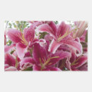 Search for stargazer stickers Garden