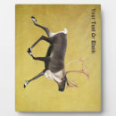 Recherche de renne plaques Faune