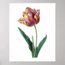 Recherche de copie de tulipe Rose
