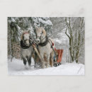 Recherche de chevaux neige cartes postales Nature