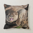 Search for otter pillows Nature
