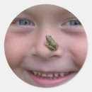 Search for funny froggy stickers Froggie
