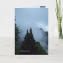 Search for new zealand tree cards Trees