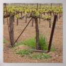 Search for wineries posters Grapes