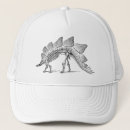 Search for fossils hats Prehistoric