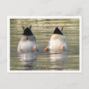 Recherche de vagabond cartes postales De