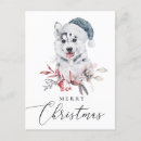 Search for funny husky cards Winter
