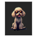 Recherche de chien caniche posters Animal
