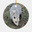 Search for possum ornaments Marsupial