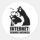 Search for serious stickers Kitten