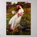 Recherche de schipperke posters Chien