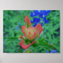 Recherche de multi région posters Floral