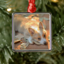Recherche de pembroke welsh corgi ornaments Animal de compagnie