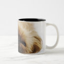 Search for pekingese dog mugs Studio shot