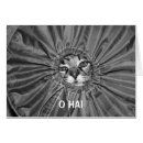 Recherche de lolcat Animaux