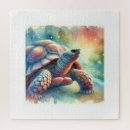 Search for tortoise puzzles Shell