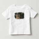 Search for siem tshirts Temple