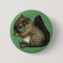 Search for squirrel picture buttons Nature
