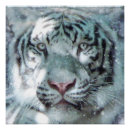 Search for endangered tigers posters Nature