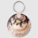 Search for bird of prey keychains Wildlife