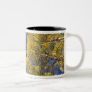 Search for aspen colorado mugs Tree