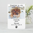 Search for rescued invitations Puppy