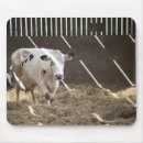 Search for straw mousepads Barn