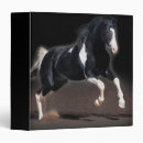 Search for horse binders Animals