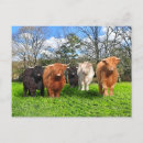 Recherche de wol posters Nature