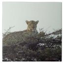 Recherche de africain carreaux L'afrique