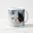 Search for longhair mugs Kitten