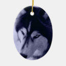 Search for siberian ornaments Photography