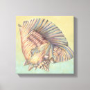 Search for conchs art Sea life