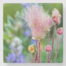 Search for macro coasters Summer
