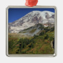 Search for mt rainier ornaments National park