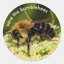 Search for pollinators stickers Bumblebee