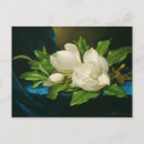 Search for giant flower postcards Martin johnson heade